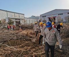 山東魯野鋼結構工程有限公司組織員工進行挖樹植樹活動